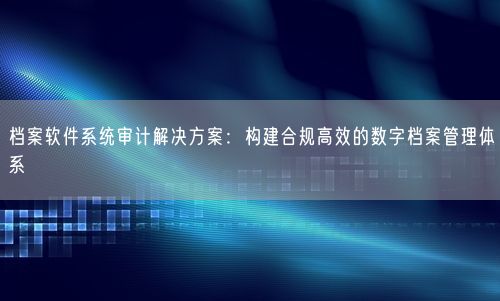 档案软件系统审计解决方案：构建合规高效的数字档案管理体系