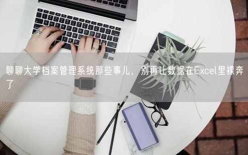 聊聊大学档案管理系统那些事儿，别再让数据在Excel里裸奔了