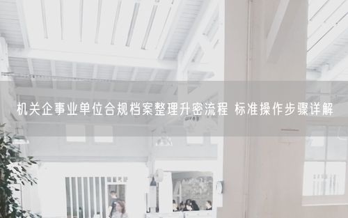 机关企事业单位合规档案整理升密流程 标准操作步骤详解