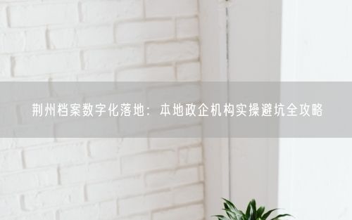 荆州档案数字化落地：本地政企机构实操避坑全攻略