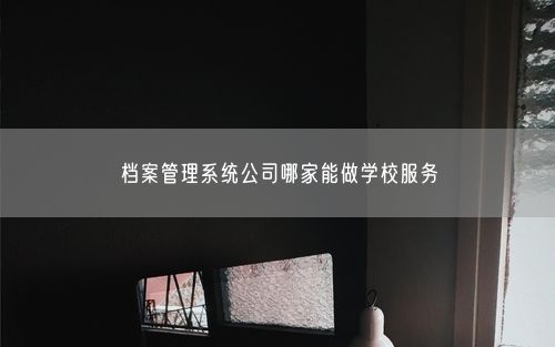 档案管理系统公司哪家能做学校服务