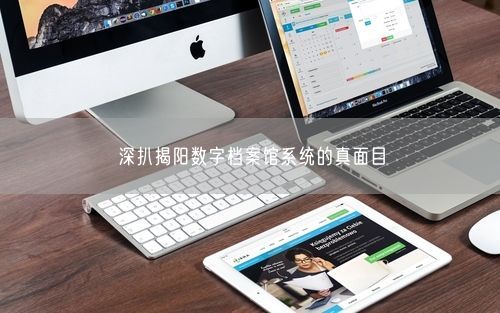 深扒揭阳数字档案馆系统的真面目