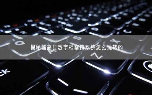 揭秘临高县数字档案馆系统怎么玩转的