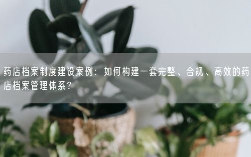 药店档案制度建设案例：如何构建一套完整、合规、高效的药店档案管理体系？