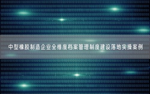 中型橡胶制造企业全维度档案管理制度建设落地实操案例