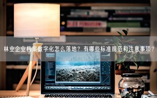 林业企业档案数字化怎么落地?有哪些标准规范和注意事项?