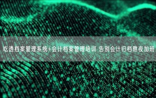 吃透档案管理系统+会计档案管理培训 告别会计归档熬夜加班