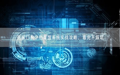 张家口数字档案馆系统实战攻略，看完不踩坑