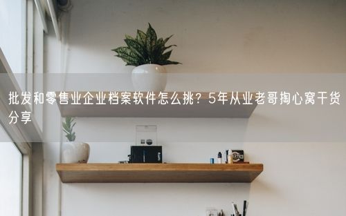 批发和零售业企业档案软件怎么挑？5年从业老哥掏心窝干货分享