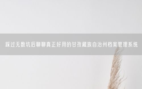 踩过无数坑后聊聊真正好用的甘孜藏族自治州档案管理系统