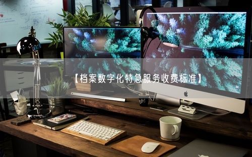 【档案数字化特急服务收费标准】
