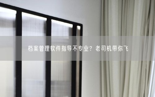 档案管理软件指导不专业?老司机带你飞