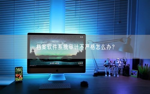 档案软件系统审计不严格怎么办？