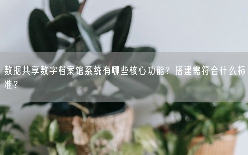 数据共享数字档案馆系统有哪些核心功能？搭建需符合什么标准？