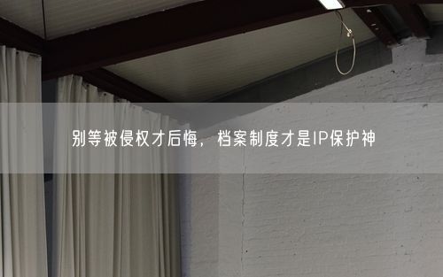 别等被侵权才后悔,档案制度才是IP保护神