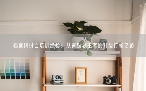 档案研讨会培训经验:从青铜到王者的升级打怪之路