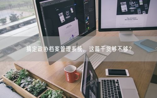 搞定政协档案管理系统,这篇干货够不够?