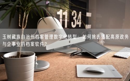 玉树藏族自治州档案管理数字化转型：如何挑选适配高原政务与企事业的档案软件？