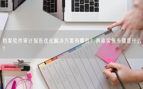 档案软件审计报告优化解决方案有哪些？具体实施步骤是什么？