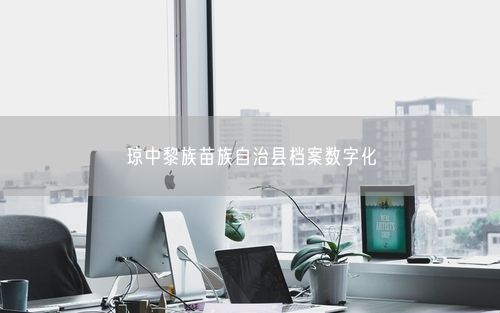 琼中黎族苗族自治县档案数字化