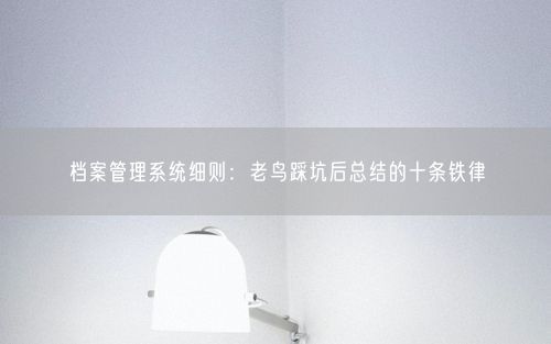 档案管理系统细则：老鸟踩坑后总结的十条铁律