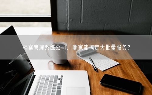 档案管理系统公司，哪家能搞定大批量服务？