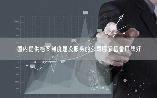 国内提供档案制度建设服务的公司哪家信誉口碑好