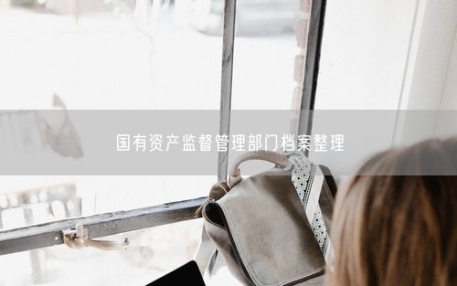 国有资产监督管理部门档案整理