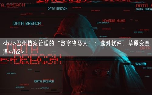 <h2>巴州档案管理的“数字牧马人”：选对软件，草原变赛道</h2>