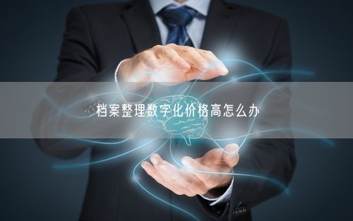 档案整理数字化价格高怎么办