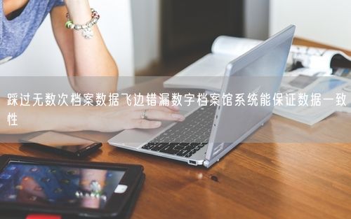 踩过无数次档案数据飞边错漏数字档案馆系统能保证数据一致性