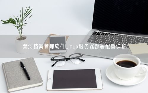 双河档案管理软件Linux服务器部署配置详解