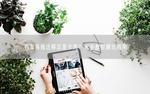 档案系统迁移总是卡壳?老手教你避坑指南
