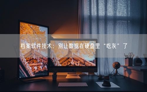 档案软件技术:别让数据在硬盘里“吃灰”了