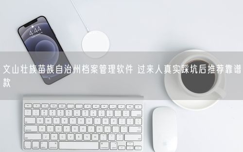 文山壮族苗族自治州档案管理软件 过来人真实踩坑后推荐靠谱款