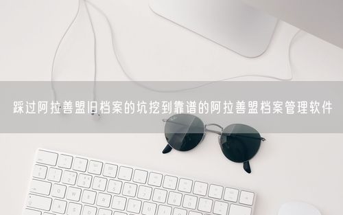 踩过阿拉善盟旧档案的坑挖到靠谱的阿拉善盟档案管理软件