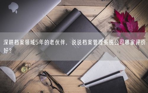 深耕档案领域5年的老伙伴,说说档案管理系统公司哪家评价好?