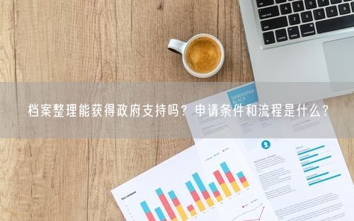 档案整理能获得政府支持吗？申请条件和流程是什么？
