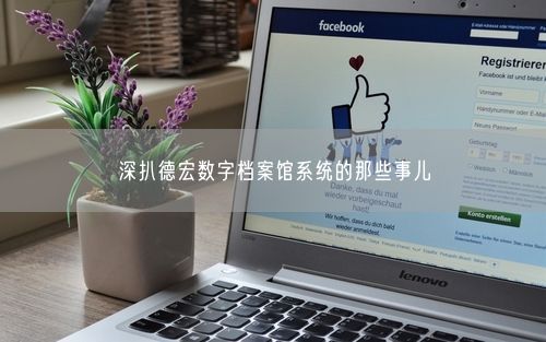 深扒德宏数字档案馆系统的那些事儿