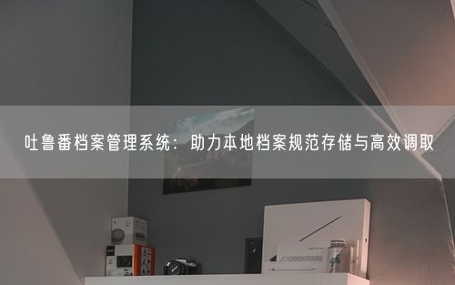 吐鲁番档案管理系统:助力本地档案规范存储与高效调取