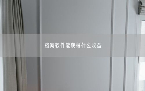 档案软件能获得什么收益