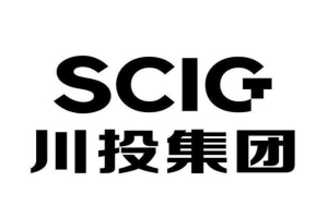 云丰参与实施的川投集团企业数字档案馆（室）建设试点项目通过国家档案局验收