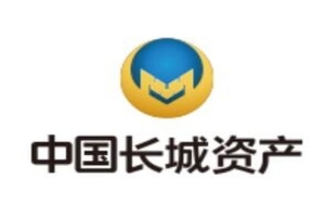 云丰中标中国长城资产公司档案项目
